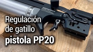 Gatillo PP20 ArceaSnowpeak [upl. by Gannes]