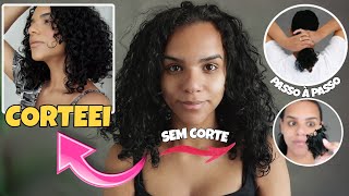 CORTEI MEU CABELO CACHEADO EM CASA SOZINHA corte Long Bob fácil e rápido [upl. by Sclater888]