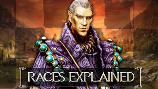 Skyrim  Races Explained  Elder Scrolls Lore [upl. by Rockey241]