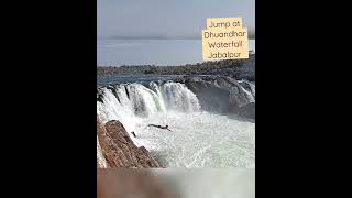 Dive Jump Bhedaghat Jabalpur [upl. by Kcirrej]