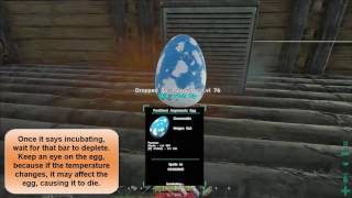 ARK Survival Evolved  Breeding Argentavis tutorial [upl. by Saravat]