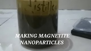 Making magnetite nanoparticles [upl. by Legir]