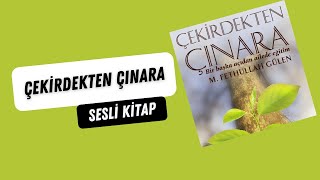 1GirişÇekirdekten Çınara Sesli Kitap MFethullah Gülen [upl. by Emmy]