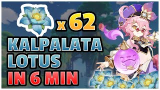 Kalpalata Lotus Loto kalpa Fast Farming Route IN 6 MINUTES  Genshin Impact [upl. by Charity]