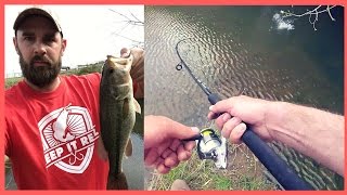 CREEK BASS FISHING WITH MINNOWS [upl. by Irah]