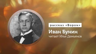 Иван Бунин аудиокнига Рассказ «Ворон» [upl. by Salhcin982]