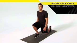 Quad Hip Flexor Stretch [upl. by Nnorahs647]