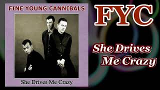 Fine Young Cannibals  She Drives Me Crazy   The Insane Remix [upl. by Etteoj]