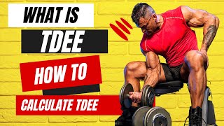 What Is TDEE and How to calculate total daily energy expenditure [upl. by Ihcelek256]