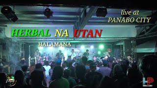 HALAMANA  Herbal na utan live at Panabo City [upl. by Tanney721]