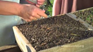 Session 2 GROW BIOINTENSIVE A Beginners Guide  Growing Seedlings in Flats [upl. by Etsirk]