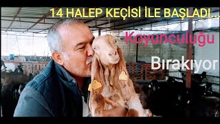 14 HALEP KEÇİSİ İLE BAŞLADI 8 AYDA İKİYE KATLADI [upl. by Cogan]