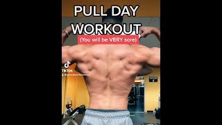 FULL PULL DAY WORKOUT You will be VERY sore [upl. by Culbert]