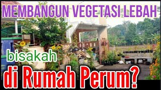 Membangun Vegetasi Lebah di Rumah Perum Bisakah trigonaindonesiatv [upl. by Girovard]