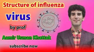 Structure of influenza virus class 11 by sir Aamir usman khattak [upl. by Anoyk964]