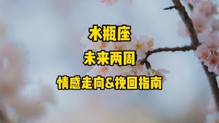 水瓶座，未来两周，情感走向amp挽回指南 [upl. by Eloc]