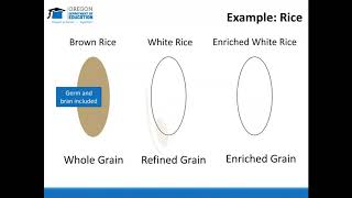 CACFP Meal Pattern Success Creditable and Whole GrainRich Grains [upl. by Nylecyoj]