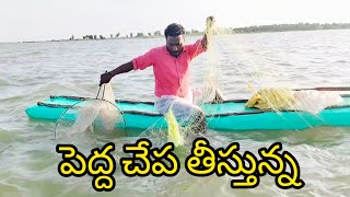 పెద్ద చేప తీస్తున్న 🐟yatala Shankar vlogs యాటల శంకర్ చేపల వీడియో🐟 [upl. by Amoritta]