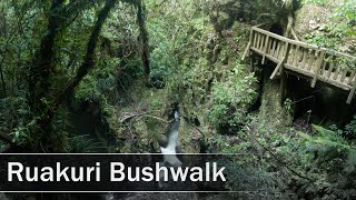 Ruakuri Bushwalk Waitomo New Zealand  4K [upl. by Ais]