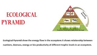 Ecological Pyramid  ഇക്കോളജിക്കൽ പിരമിഡ് [upl. by Yecal421]