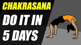 How to do Chakrasana perfectly in 5 days  Easy and Effective method [upl. by Atteynot393]