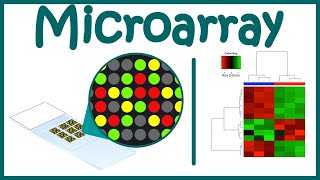 Microarray Technique  DNA Microarray  Gene expression analysis using microarray [upl. by Minnie]