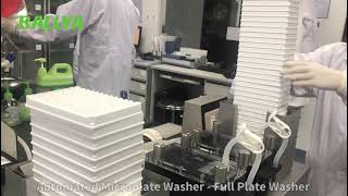 Elisa Plate Washer  Microplate Washer  Automated ELISA Plate Washer BALLYA [upl. by Kieryt]