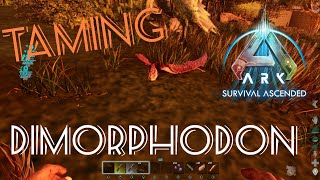 Taming an Dimorphodon ark survival ascended Cute little shoulder animal and event colour [upl. by Jermaine973]