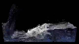 Realflow 10 Foamsplash [upl. by Enaled]