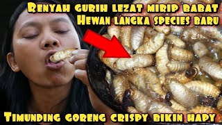 ULAT TIMUNDING GORENG SEPECIES LANGKA ENAK GURIH BERGIZI [upl. by Madelaine196]