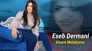 Elnure Mehdiyeva  Eseb Dermani Official Audio Music [upl. by Repooc816]