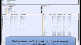 Урок  Как пользоваться FileZilla в uCoz [upl. by Otrebor]