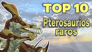 Top 10 Pterosaurios raros [upl. by Lori]