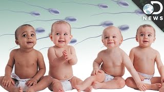 The Disturbing Truth About Sperm Banks [upl. by Elyl]