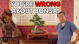 Debunking 6 Common Bonsai Misconceptions [upl. by Amathist]