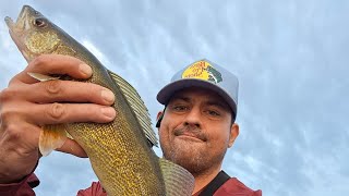 Walleye Fishing Canada in Late Summer we caught dinner fishing walleye riverfishing canada [upl. by Anah]