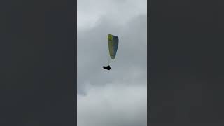 Solo Paraglider birbillingparagliding travel paragliding subscribe [upl. by Kcirddehs]