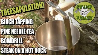 Tapping a Silver Birch Tree  Bushcraft  Friction Fire  Bowdrill  Steak and Pine Needle Tea [upl. by Valerian]