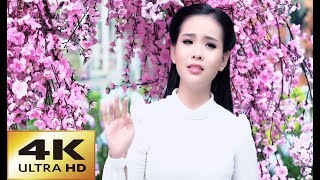 Hoa Đào Năm Trước  Quỳnh Trang 4K MV Official [upl. by Benita]