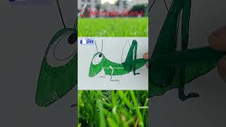 How to Color in grasshopper drawing Uses of marker colour drawingart [upl. by Ttehc]