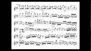 Mozart Wolfgang A mvt1 5th violin concerto KV 219 [upl. by Benedikt566]