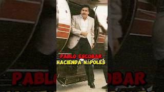 Pablo Escobar y hacienda Nápoles narcos narcosmexico colombiancriminal carteldemedellin cartel [upl. by Nodroj]