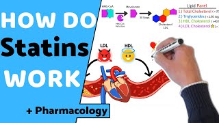 How do Statins Work  Pharmacology [upl. by Holzman]