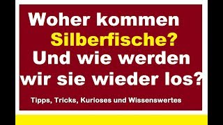 Woher kommen Silberfische und wie kann man sie loswerden bekämpfen Ursache Tipps [upl. by Clausen]