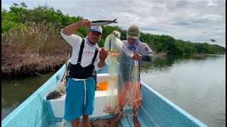 2 AÑOS SIN CARNADA EXTINCION MASIVA😱😱😱 [upl. by Ahsimrac752]