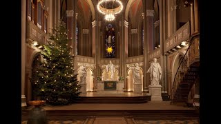 Weihnachtliche Orgelmusik 2022  Hans Uwe Hielscher an der Orgel der Marktkirche Wiesbaden [upl. by Adnael865]