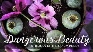 Dangerous Beauty A History Of the Opium Poppy [upl. by Giacopo]