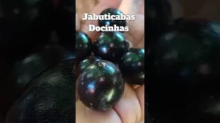 Jabuticabas docinhas jabuticaba comeceagora frutas [upl. by Monteria]