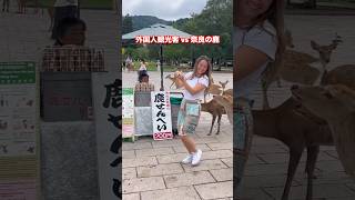 自然の愛に抱かれて  Nara Deer Park Japan 奈良日本旅行  お辞儀をする鹿日本  日本ビデオブログ 4k  へずまりゅう 奈良公園 japan [upl. by Ymassej144]