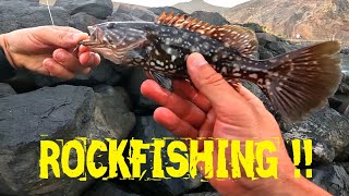 ROCKFISHING‼️en CANARIAS 🇮🇨  Tarde y Noche  Abades y Catalufas 🎣 CampS ♻️ [upl. by Aiehtela]